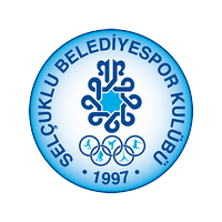 Ankara DSI logo