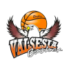 Valsesia logo