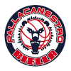 U18 Banca Sella Biella logo