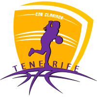 Elfic Fribourg logo