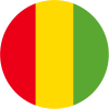 U17 Guinea logo