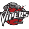 Rio Grande Valley Vipers logo