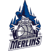 HAKRO Merlins Crailsheim logo