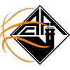 Academica logo