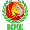 Beroe logo