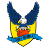 CSU Sibiu logo