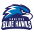 Vaerlose Blue Hawks