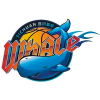 Sichuan Blue Whales logo