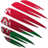 Gomel Lynx logo