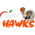 Hawkes Bay Hawks logo