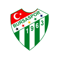 Ankara DSI logo