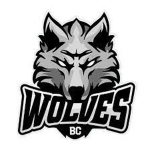 Logo Alytus Wolves