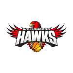 Logo Illawarra Hawks