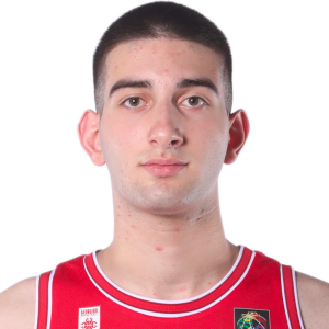 Nikoloz Gigineishvili