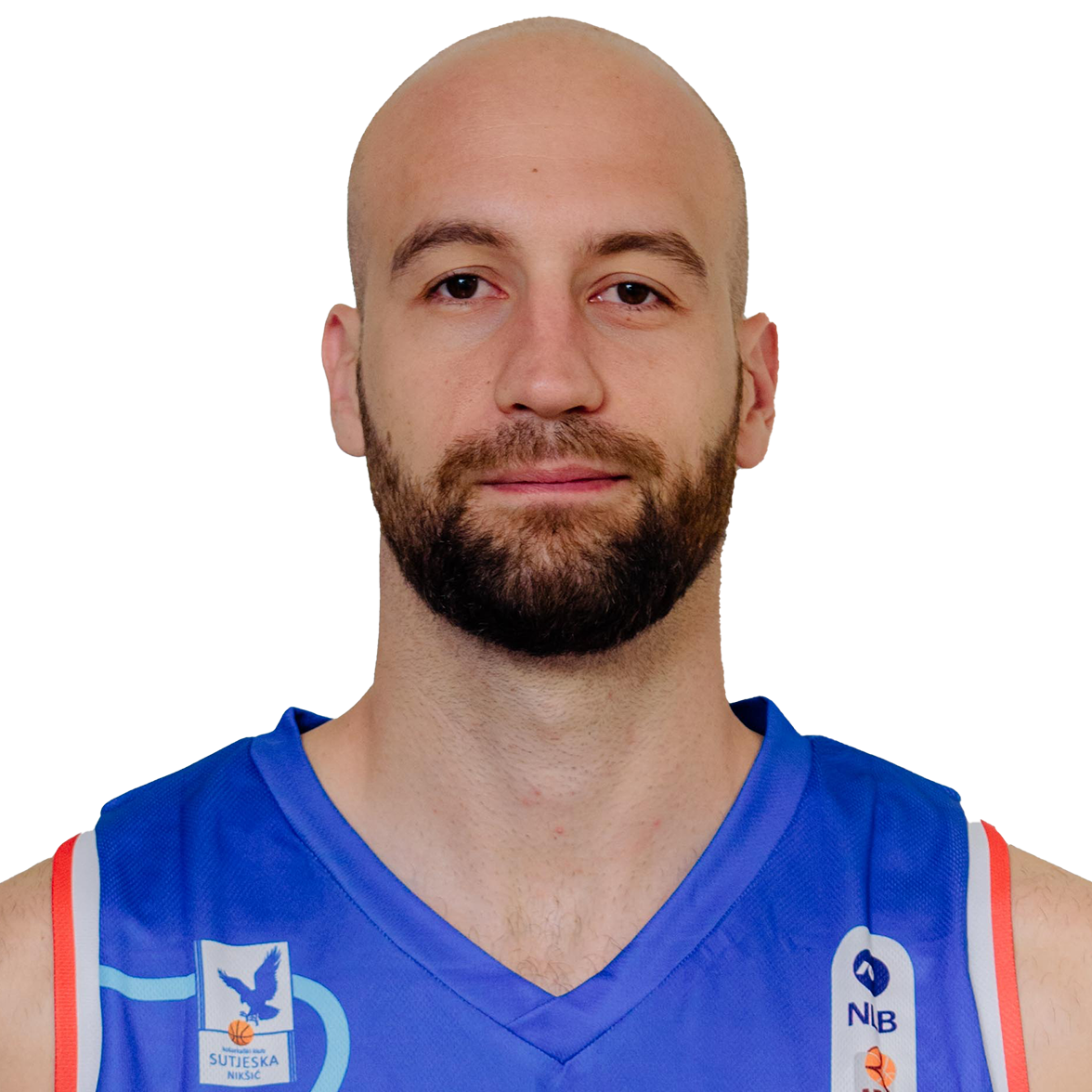 Radosav Spasojevic